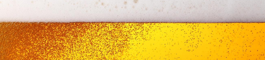 pivo 870x200px